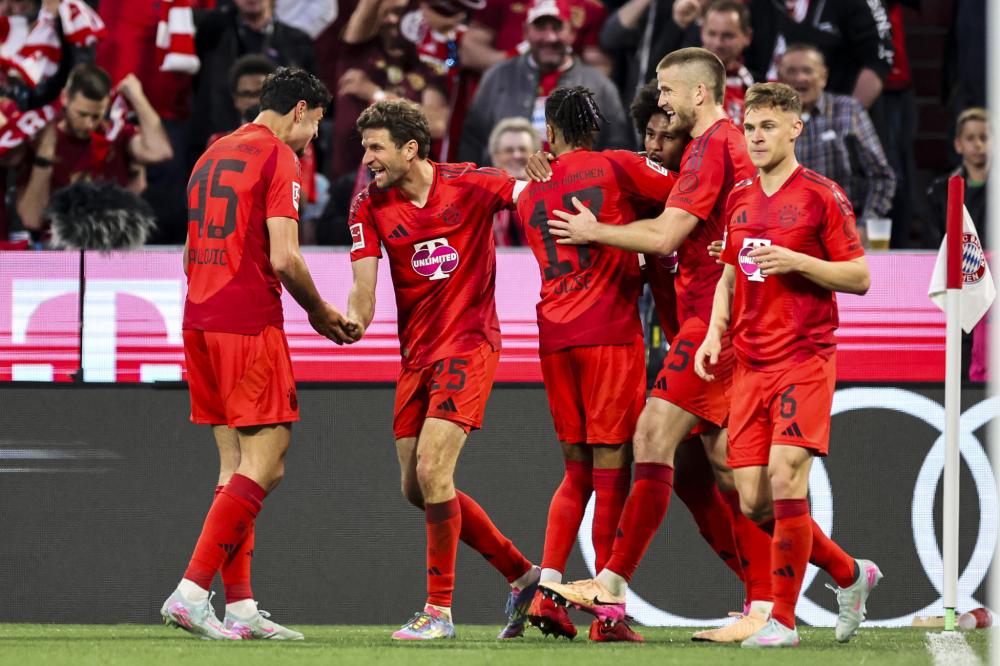 选择了一条 选择了一条